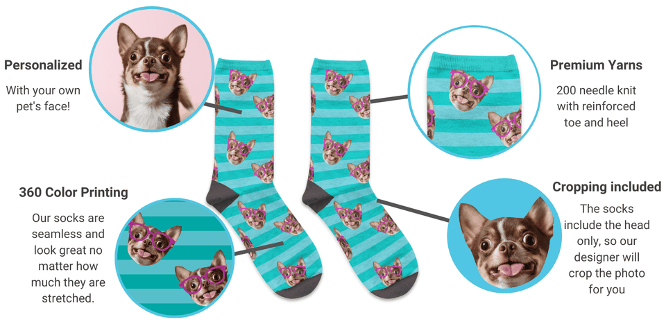 pet sock gifts