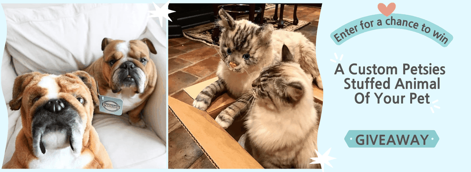 petsies giveaway