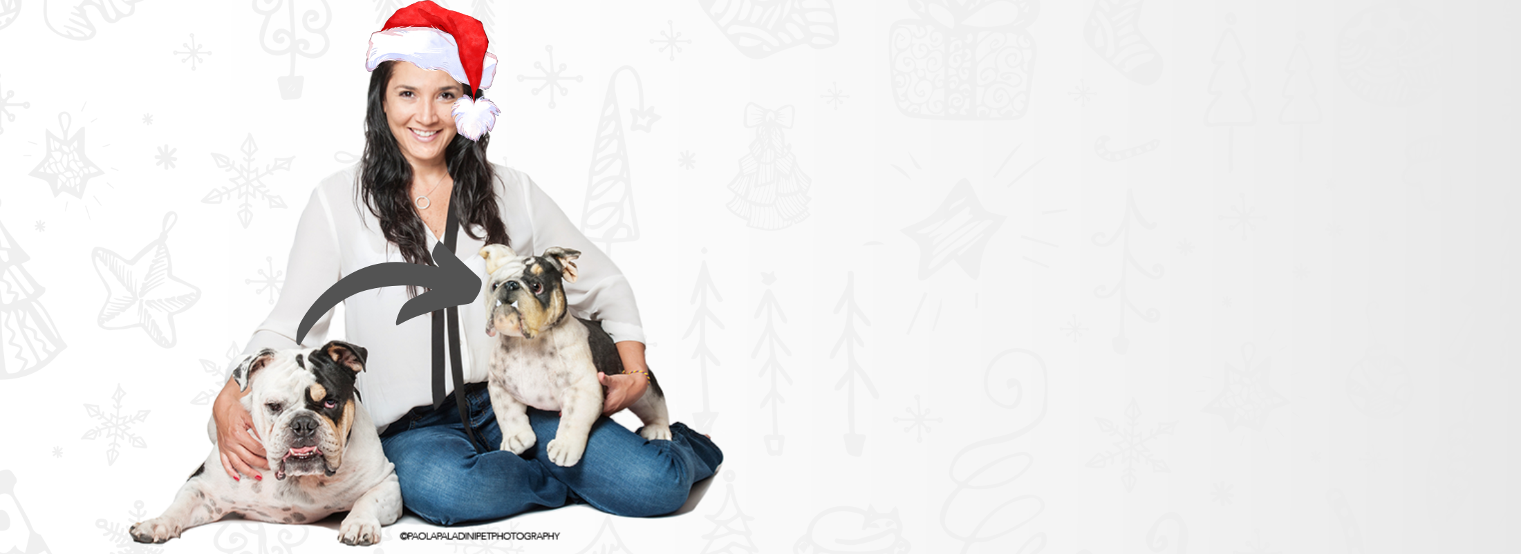 Get a Custom Stuffed Animal of Your Own Pet Get a Custom Stuffed Animal of Your Own Pet