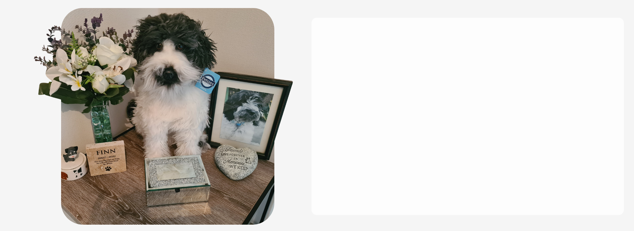 Handmade Pet Memorial Plushies of Your Pet Handmade Pet Memorial Plushies of Your Pet