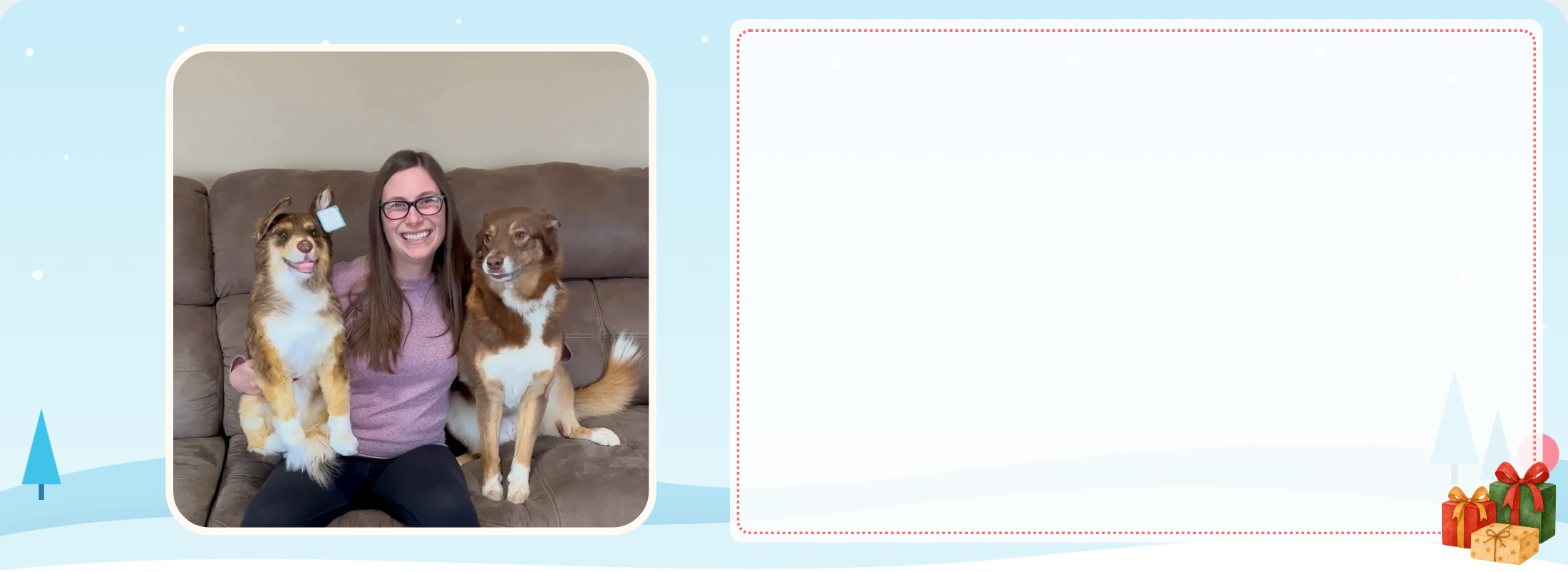 A Custom Stuffed Animal of Your Pet