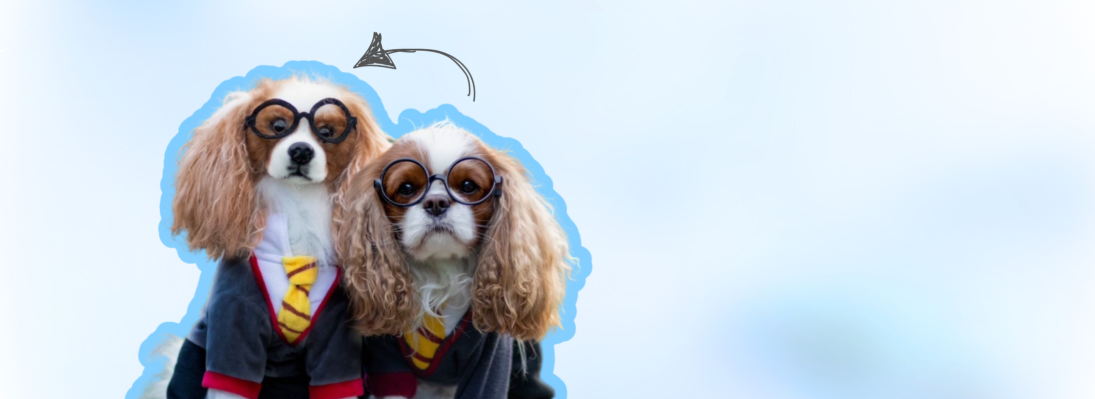 Get a Custom Stuffed Animal of Your Own Pet