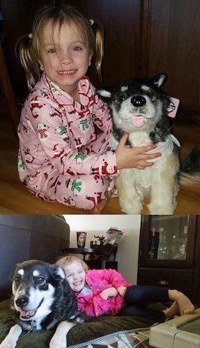 Stuffed Animals for Kids Who have lost a pet
