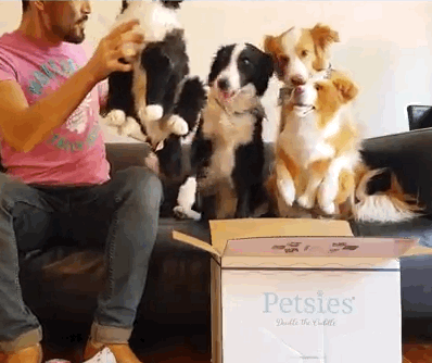 Border Collie Stuffed Animal border-collie-stuffed-animal