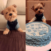 Select to view 'Personalized Yorkie Stuffed Animal Plush Lookalike' image