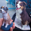 Select to view 'turn your pet into a figurine' image