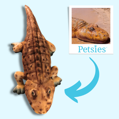 croc