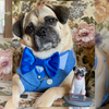 Select to view 'custom pet figurine' image