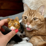 personalized pet magnets
