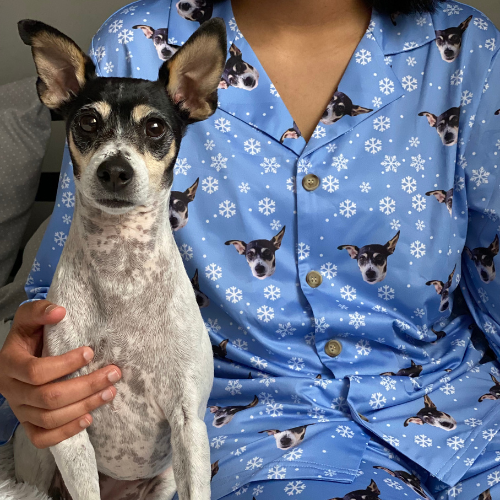Christmas Stuffed Animal Pet Lookalike