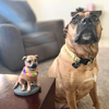 Select to view 'dog bobblehead' image