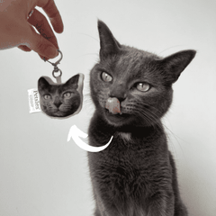 personalized pet photo pillows