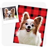 personalized blanket