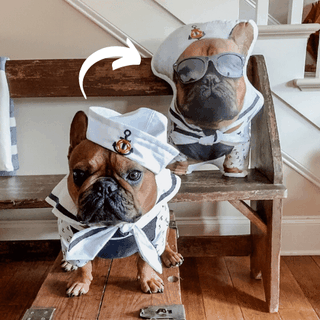 custom photo shaped pet pillow french bulldog