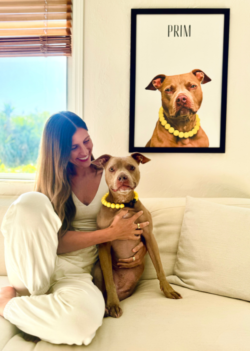 Customer photo pet portrait