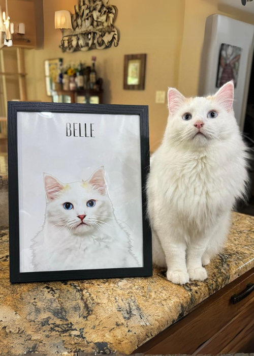 Customer photo pet portrait