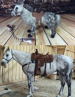 Select to view 'Horse Stuffed Animal Lookalike' image