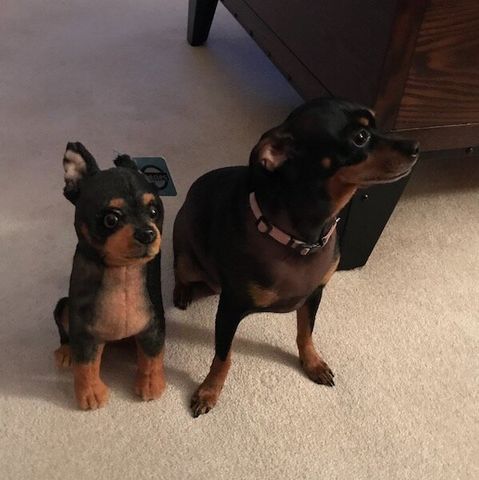 Personalized Dachshund Stuffed Animal Plush Lookalike