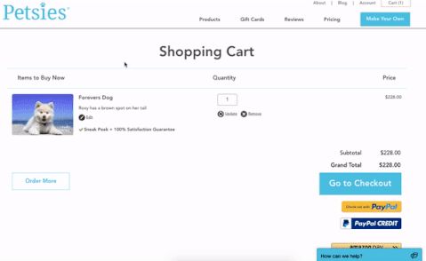 petsies enter gift code