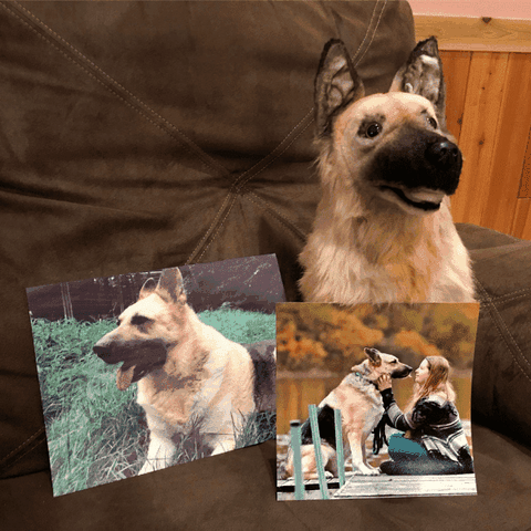 pet memorial gift