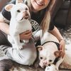 Select to view 'French Bulldog Stuffed Animal Plush' image