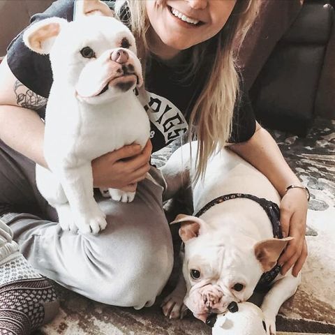 French Bulldog Stuffed Animal Plush
