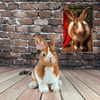 Select to view 'Personalized Bunny Stuffed Animal Plush Lookalike 2' image