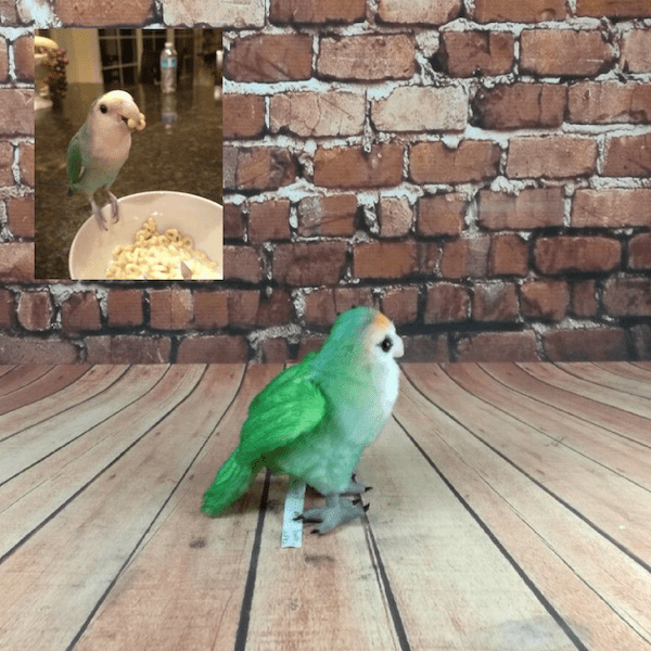 Bird Stuffed Animal Plush Lookalike Replica