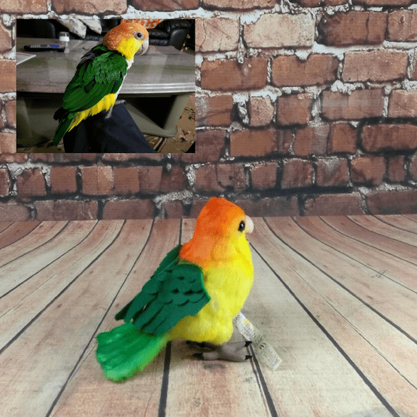 Bird Stuffed Animal Plush Lookalike Replica