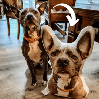 custom pet pillow