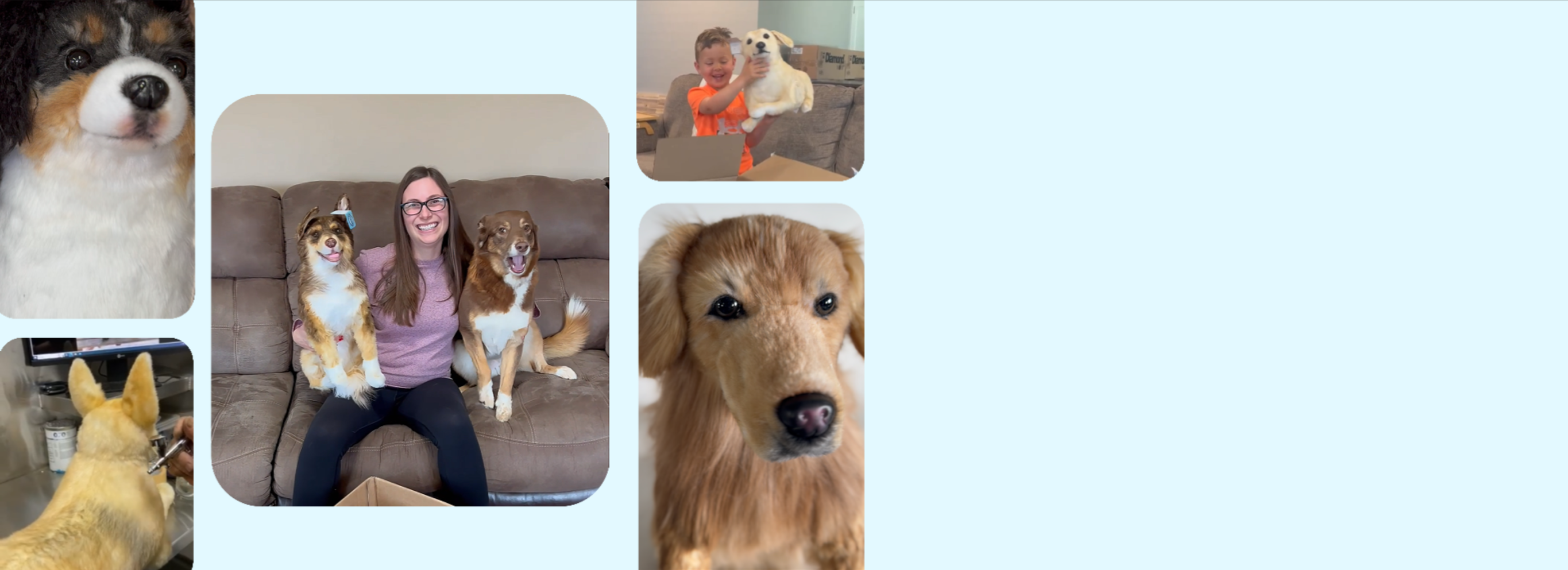 A Custom Stuffed Animal of Your Pet A Custom Stuffed Animal of Your Pet