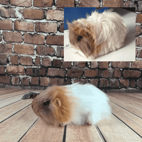 guinea pig stuffed animal
