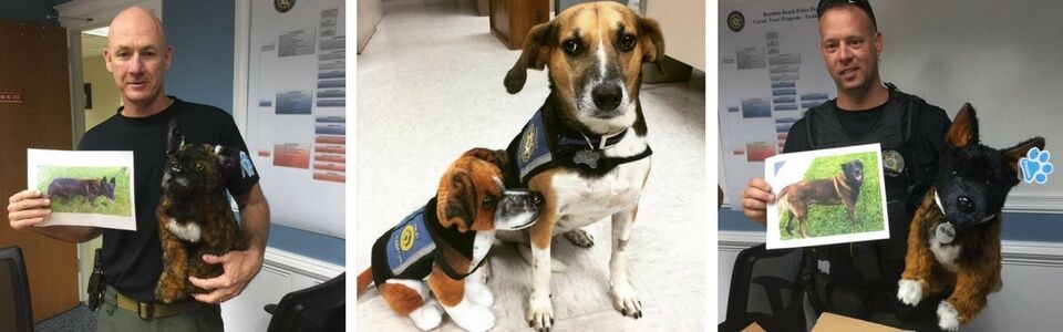 pet charity
