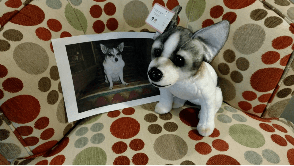 companion stuffed animal 