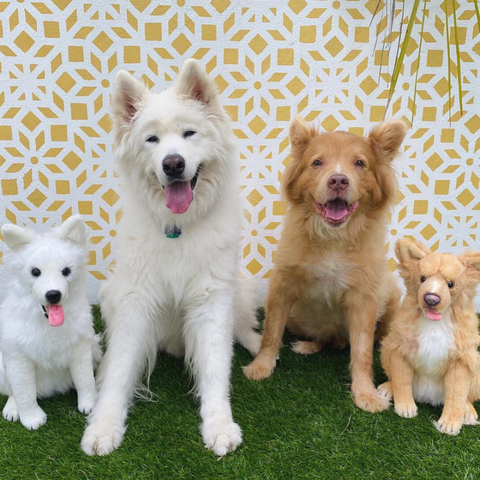 Petsies pet stuffed animals