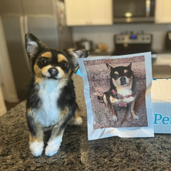 custom stuffed animal of your pet