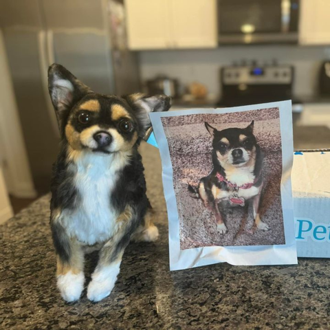 Stuffed animal of your pet