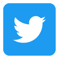 Budsies Twitter