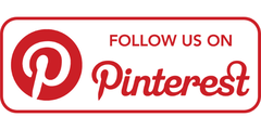 budsies-pinterest-social-button