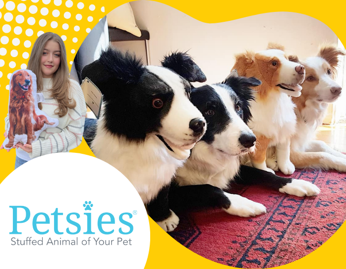 Petsies