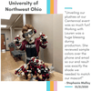 Select to view 'company mascot bulk plush' image