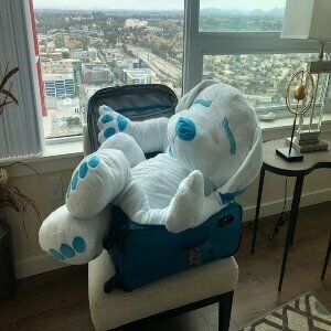 branded stuffed animals for business 2