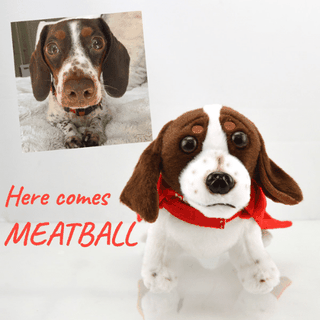 custom stuffed animal of pet