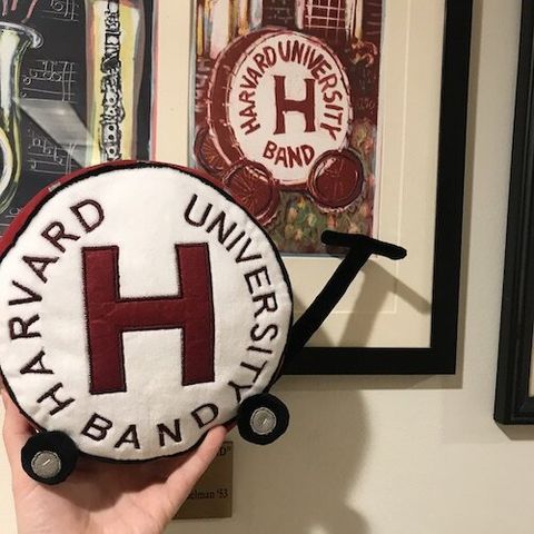 band stuffed animal 