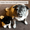 Select to view 'custom stuffed animals of pets 3' image