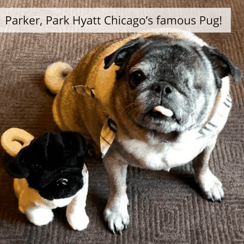 custom stuffed animals of pets 3