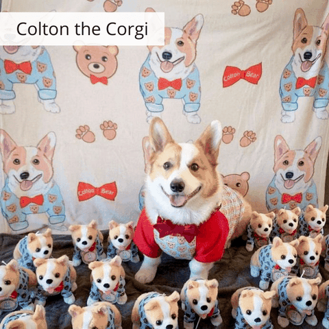 custom stuffed animals of pets 1