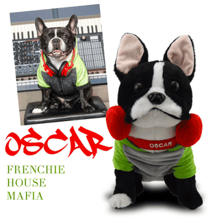 custom stuffed animal of pet