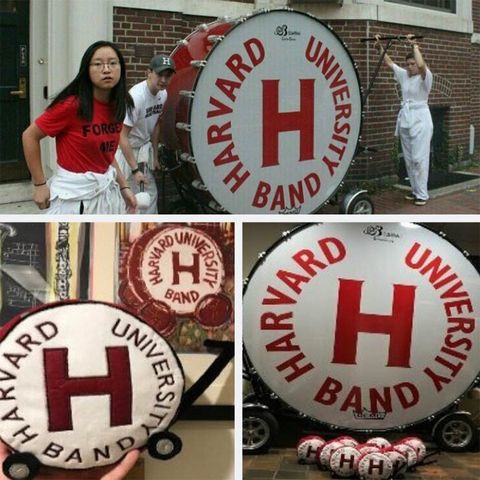 Harvard school university bulk custom plush 